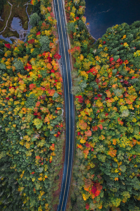 Drone picture of New England Fall Colours
